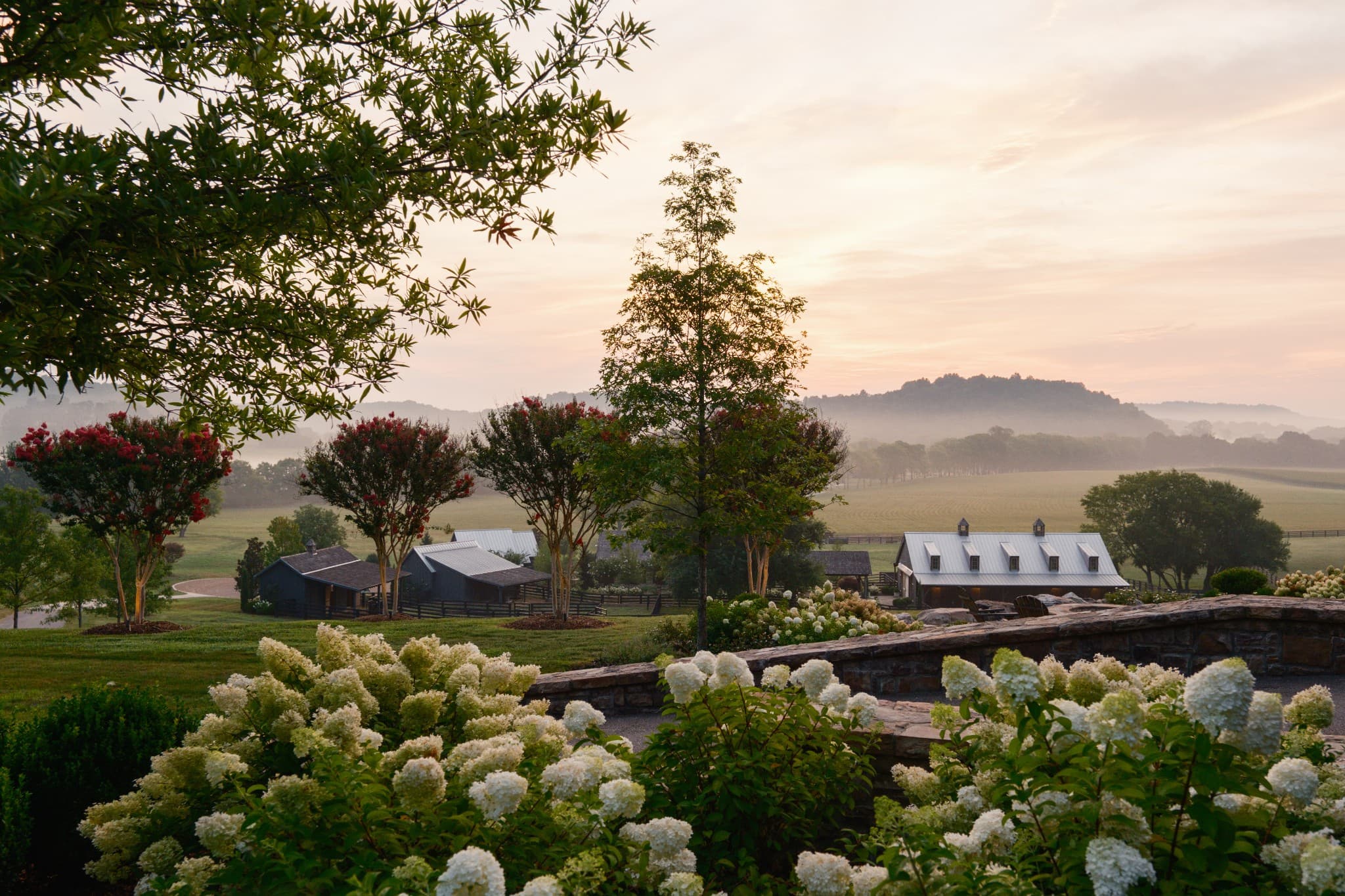 Farm with hydrangeas at dawn